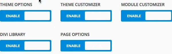Divi 2.5 Rollen Editor