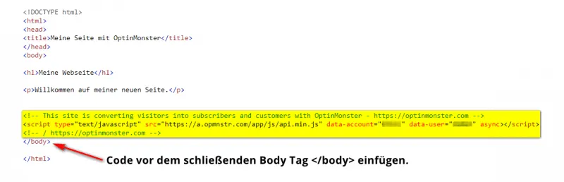 OptinMonster Javascript Code für HTML Seiten