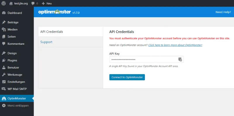 Fügen deinen API Key ein.