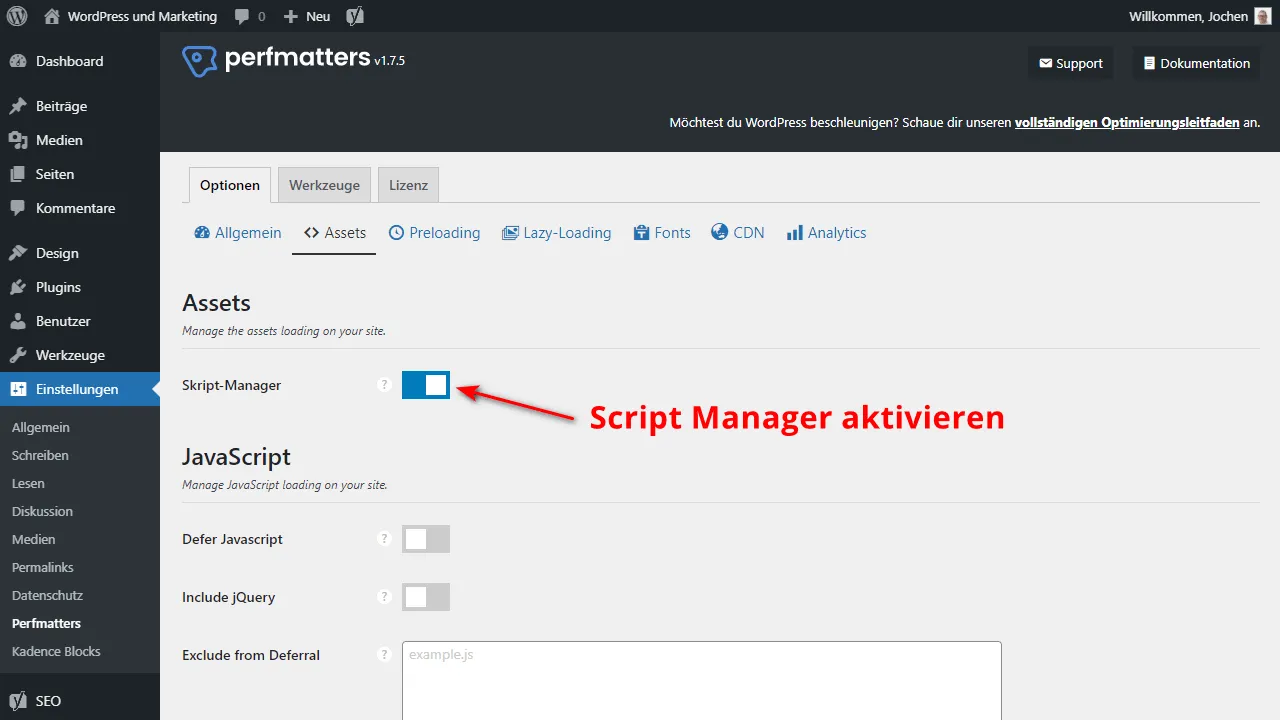 Script Manager aktivieren