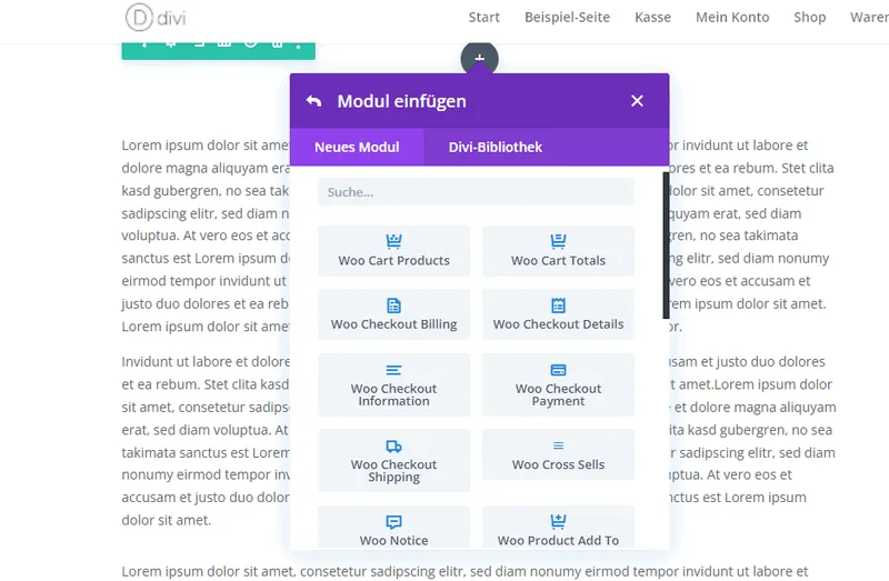 Divi WooCommerce Module