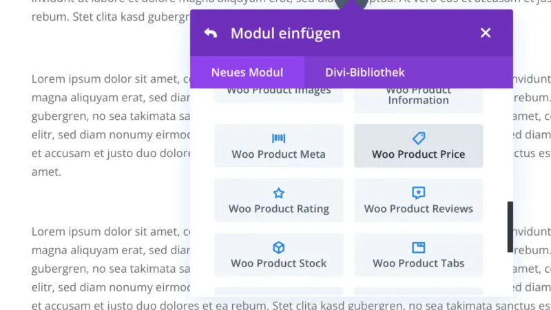 WooCommerce Divi Modul Seite