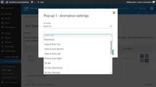 Over 22 animations for your form